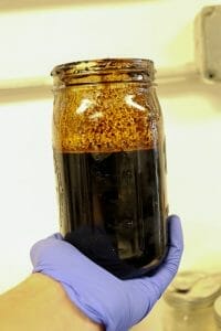 undistilled cbd oil